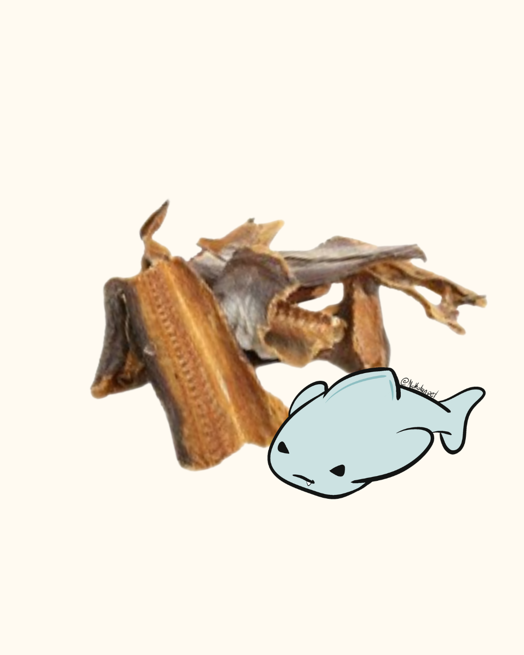ALETAS DE PESCADO