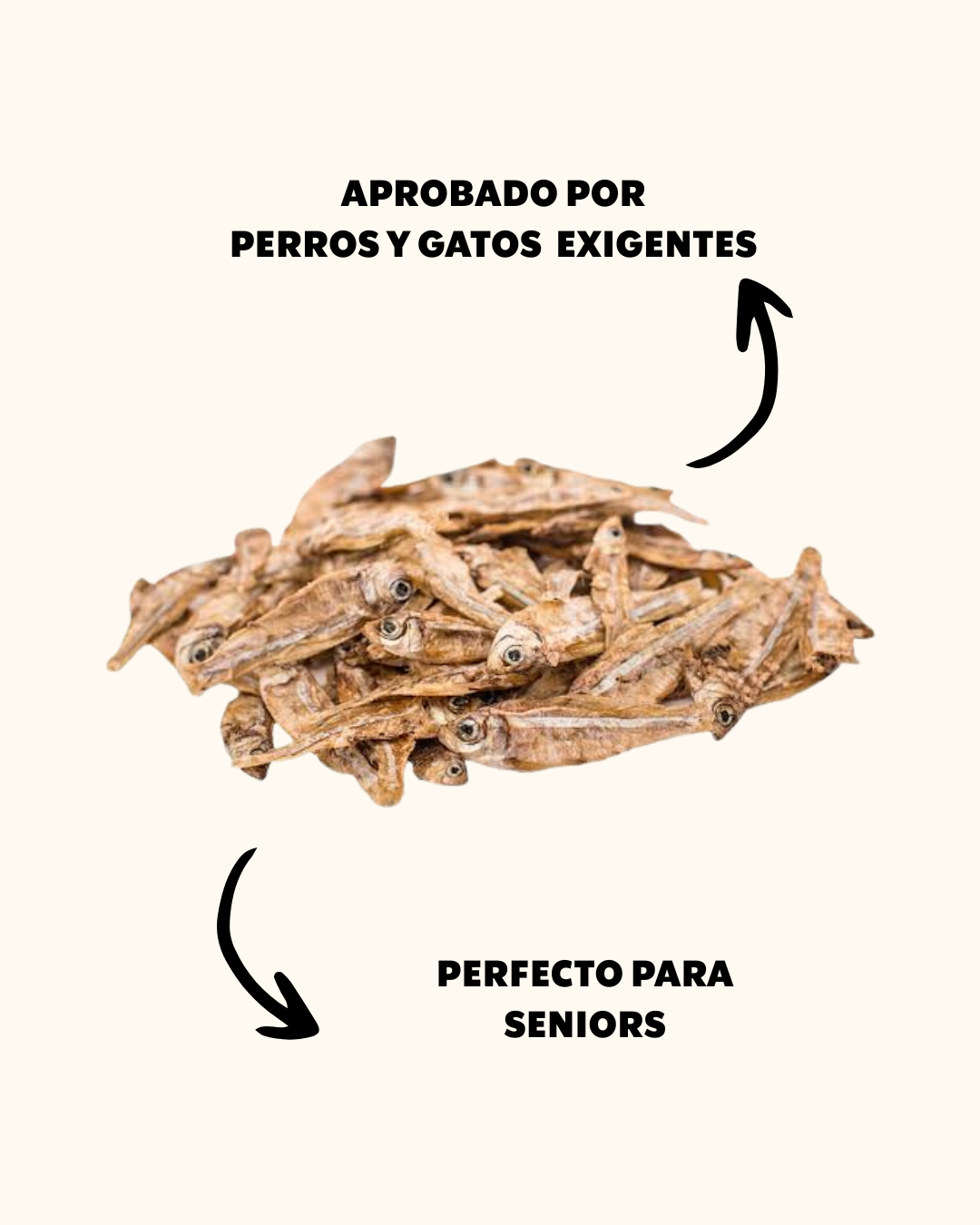 CHARALITOS
