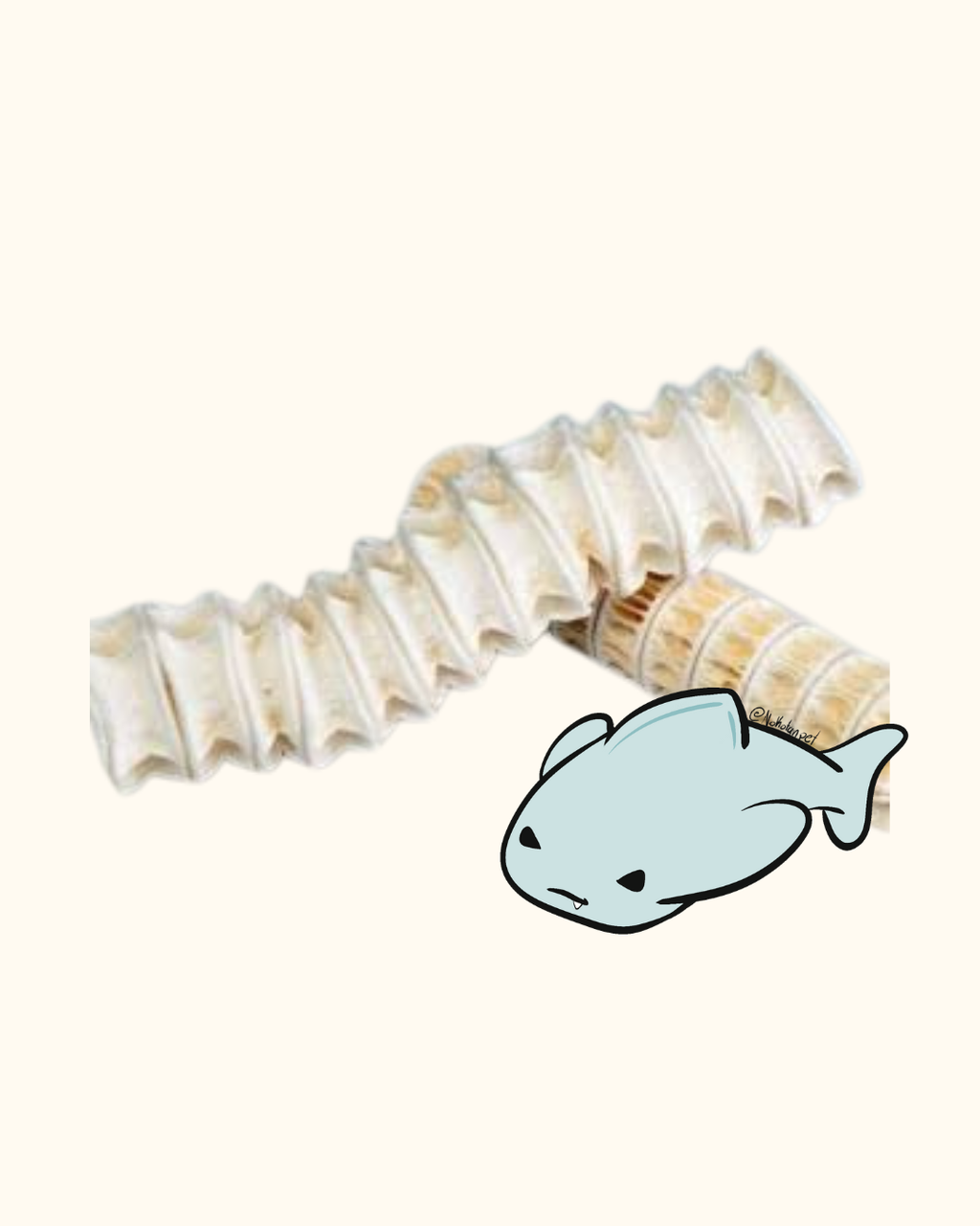 CARTILAGO DE TIBURON