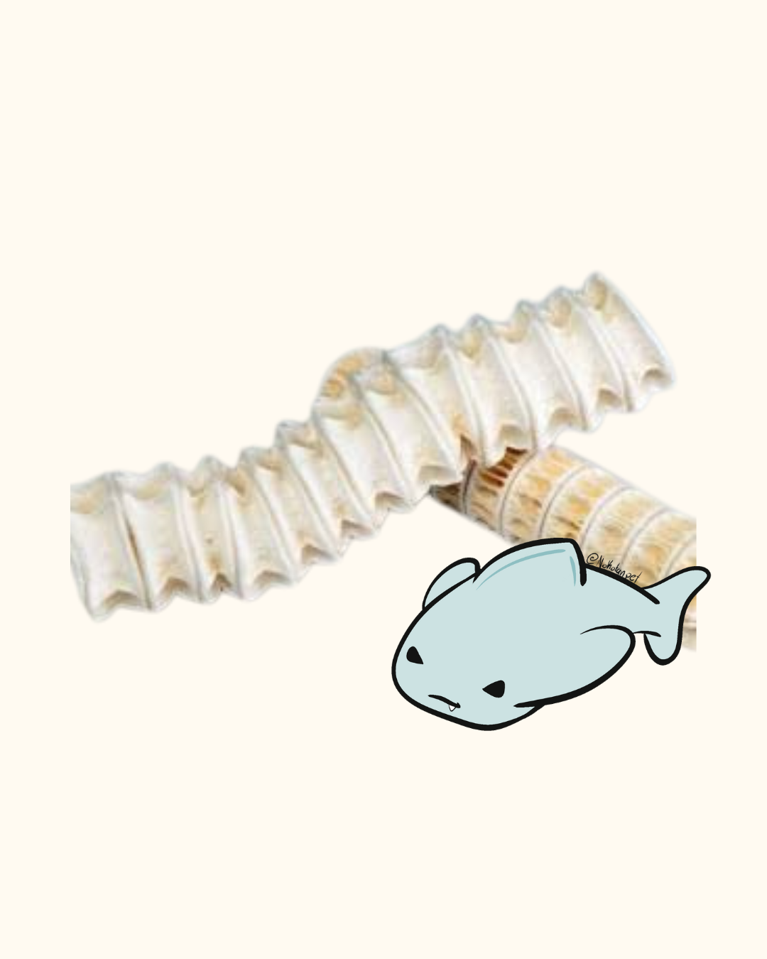 CARTILAGO DE TIBURON