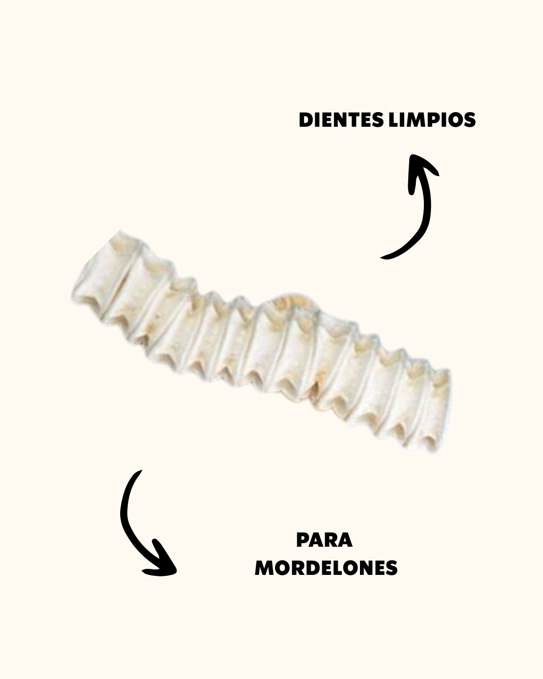 CARTILAGO DE TIBURON