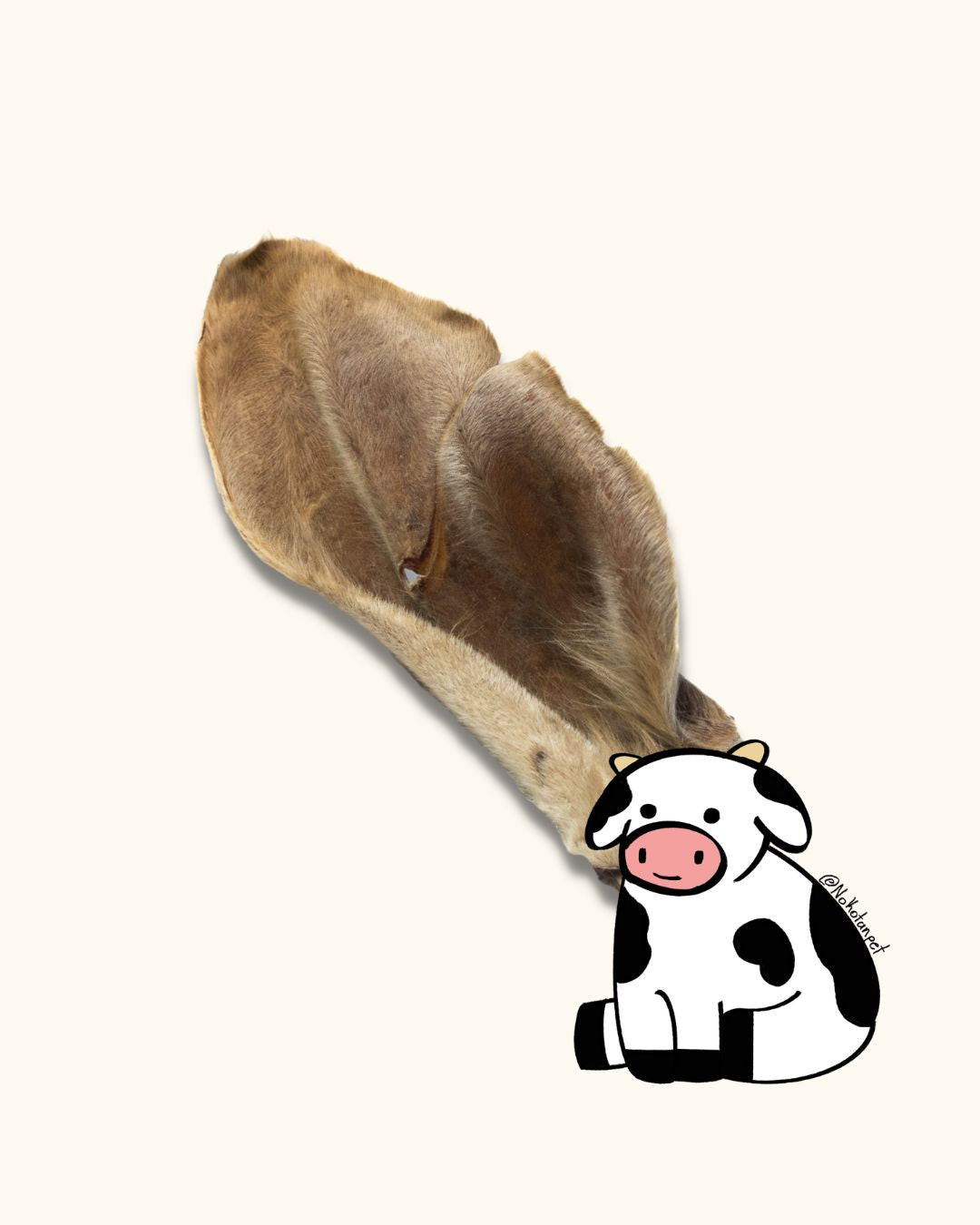 OREJA DE RES