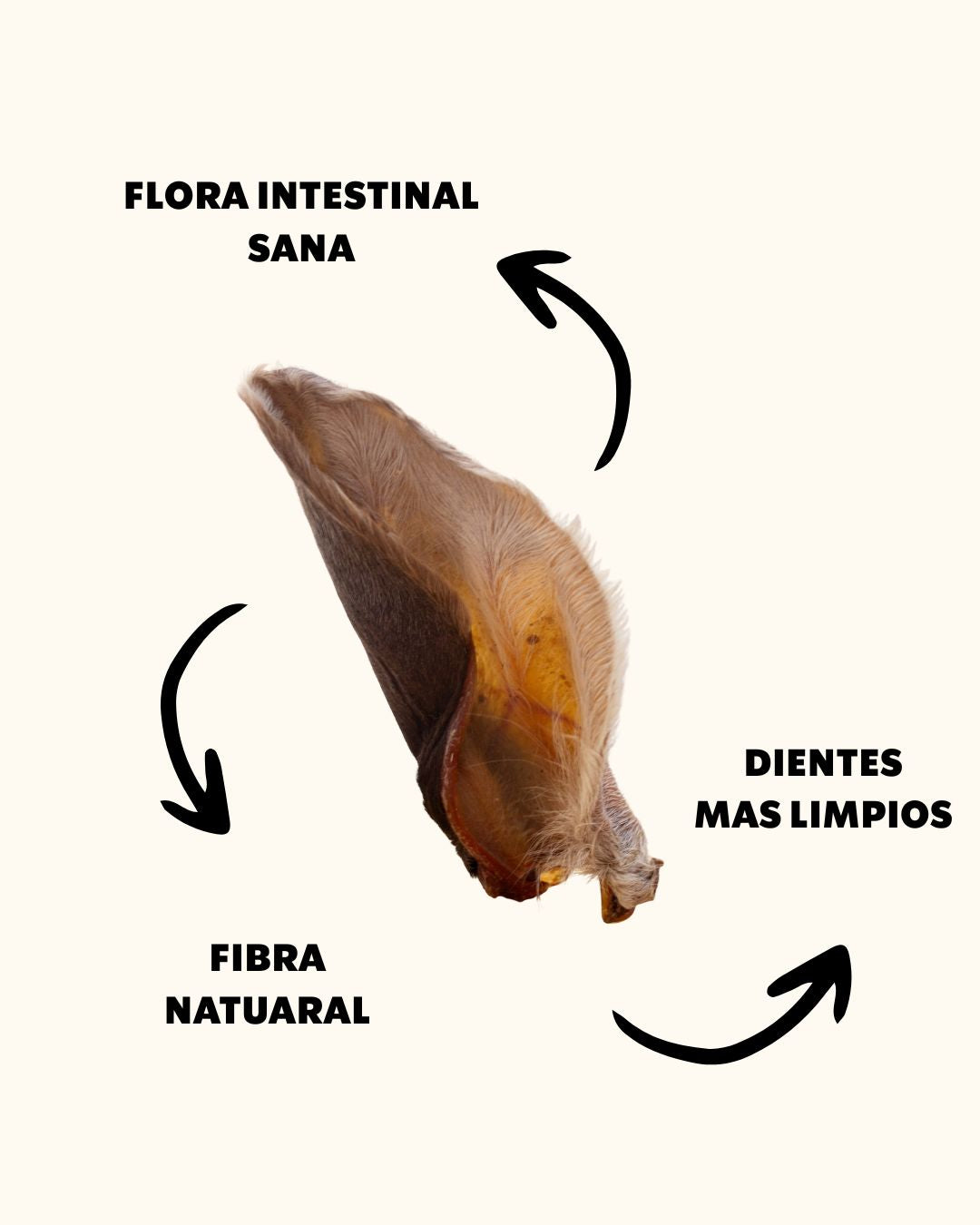 OREJA DE RES