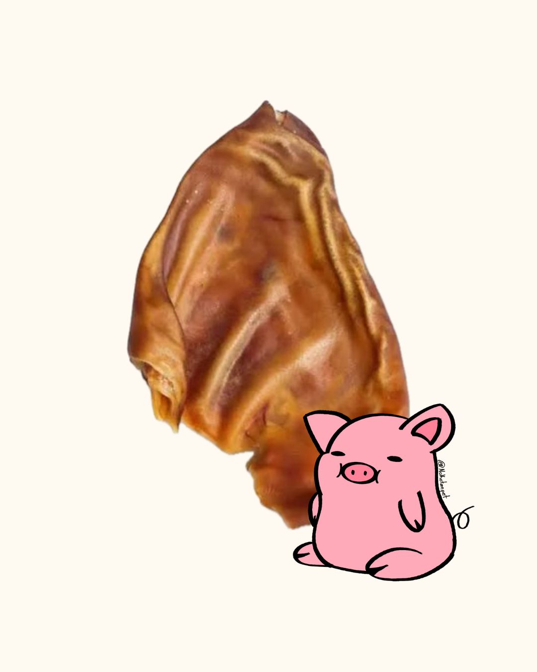 OREJA DE PUERCO